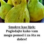 453156470_2825529420956854_8174351112149729919_n