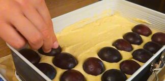 KOLAČ ZA 15 MINUTA…Francuski kolač od šljiva je veoma sočan i topi se u ustima…