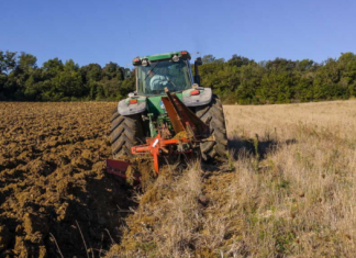 DEDO, A ZAŠTO NE OREŠ TAJ DIO ZEMLJE: “Sine, Iako Si Musliman, Nemoj To Zaoravati, Tu Je Nekada Srbin Slavu Slavio.”