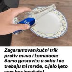 453645805_2098409617222091_671342990173268654_n