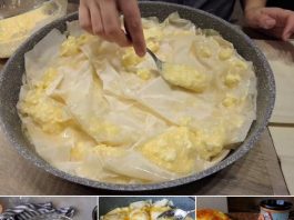 KAD PROBATE OVU PITU ZABORAVITI ĆETE NA GIBANICU… Bukvalno pucketa pri svakom zalogaju