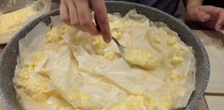 KAD PROBATE OVU PITU ZABORAVITI ĆETE NA GIBANICU… Bukvalno pucketa pri svakom zalogaju