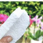 454198338_822711646656706_2501435299429892513_n-1068×999-1-e1723279785424-678×381