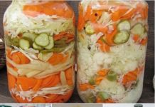 MIJEŠANA SALATA – NA HLADNO.. ZAPIŠITE SEBI OVAJ ODLIČAN RECEPT, TREBAT ĆE VAM USKORO!