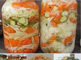 MIJEŠANA SALATA – NA HLADNO.. ZAPIŠITE SEBI OVAJ ODLIČAN RECEPT, TREBAT ĆE VAM USKORO!