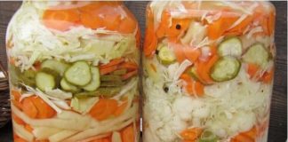 MIJEŠANA SALATA – NA HLADNO.. ZAPIŠITE SEBI OVAJ ODLIČAN RECEPT, TREBAT ĆE VAM USKORO!