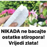 454733987_913617650793373_3132118738262618374_n