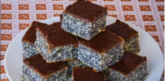 KOLAČ SA JOGURTOM I MAKOM KOJI JE NEVJEROVATNO SOČAN – samo par sastojaka do pravo ukusnog kolača!