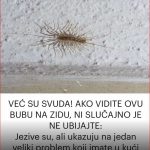 TUJTZJUTZ