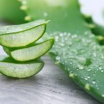 aloe-vera-blog