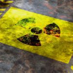 195065_shutterstock-732852496_ff