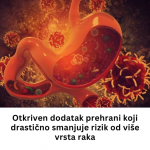 Add a subheading – 2025-02-20T095604.390
