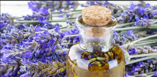 Kako Održati Kupatilo Svežim Bez Hemikalija