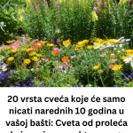 Add a subheading (24)