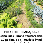 Add a subheading (25)