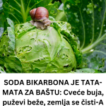 Add a subheading (6)