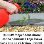 Add a subheading (8)