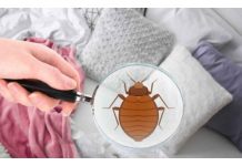 Male bube koje žive u vašem krevetu – Evo kako da ih izbacite zauvek uz ovaj jednostavan trik!
