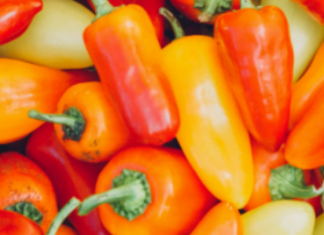 Ne bacajte nikad peteljke od paprika, kad čujete čemu služe čuvaćete ih kao da su od zlata!