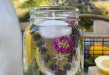 Zaboravite na toksične sprejeve PROTIV KOMARACA: Napravite ovo PRIRODNO SREDSTVO i gledajte kako BEŽE KAO OD VATRE