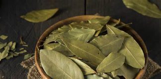 Još večeras stavite lovorov list pod jastuk i sačekajte jutro – rezultat će vas oduševiti