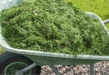 Zlata je vrijedan- Molimo vas da ne bacate pokošenu travu! Evo za što ga možete koristiti