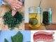 Lišće smokve – vaše skriveno blago za koje malo ljudi zna, ali vam može promijeniti život! 🌿✨