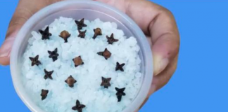 Kupatilo moje svekrve uvek lepo miriše, samo otvori vrata: 0V0 JE NJENA TAJNA!