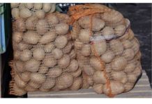 Deda ga je uvijek bacao u kesu sa krompirom i izdržali su do sledeće berbe: Ni jedan nije proklijao!