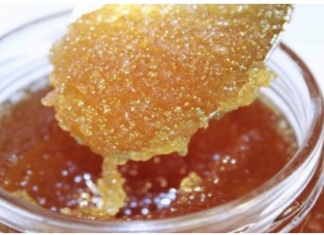 Pčelar pokazao gdje u kući treba čuvati med: VEĆINA LJUDI TO RADI POGREŠNO!