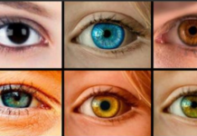 Vaša boja očiju krije tajnu staru 10.000 godina: Evo šta nauka i svetlost otkrivaju o vama