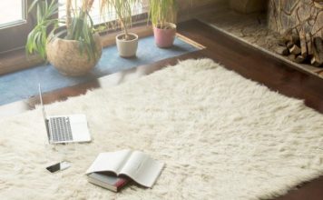 Evo jednog fantastičnog kućnog trika za čišćenje tepiha koji će vas oduševiti!