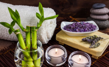 Veruje se da ove 2 biljke privlače bogatstvo i sreću u kuću: Veoma je važno na kom mestu stoje