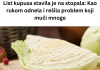 List kupusa stavila je na stopala: Kao rukom odnela i rešila problem koji muči mnoge