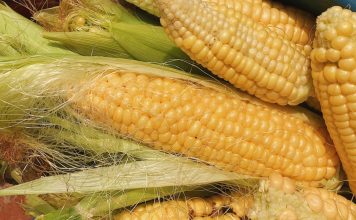 Kukuruz više ne morate da kuvate satima, dodajte 1 sastojak iz frižidera i biće gotov za 10 minuta