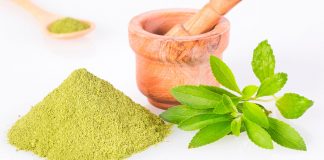 Ubija želju za cigaretama i skida kilograme: Ova moćna biljka može da se gaji u kući ili stanu, evo kako se koristi