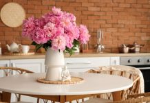 Izgledaju prelepo, ali privlače nesreću i svađe u kući: Ove biljke ne biste smeli da unosite unutra