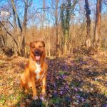 20337a89-65a5-46d4-b5a8-b84ee161a020