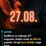 538133573_1355807712778555_4860425710903943761_n