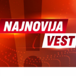 Add a subheading(206)