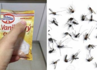 SAMO 1 PAKETIĆ VANILIN ŠEĆERA I NE TREBA VAM REPELENT: Savršen trik za omražene komarce, djeluje bolje od kemije!