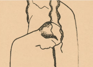 Koliko ste pronicljivi? Optička iluzija koja otkriva vašu moć zapažanja