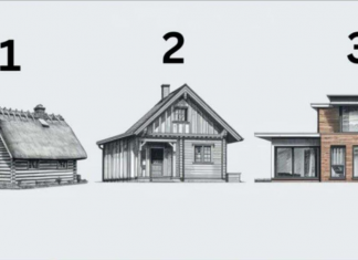 TEST! U KOJOJ KUĆI BISTE ŽIVJELI? Evo šta to govori o vama, OPREZ-SVIMA JE POGODILO!