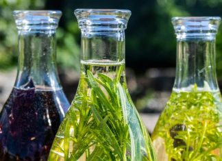 7 biljaka koje mogu rasti u vodi: savršeno za vrtlarenje u zatvorenom ili malom prostoru