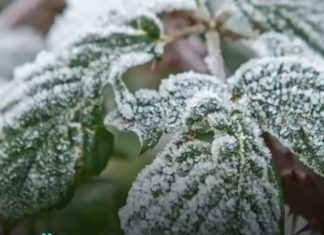 U bh. selu zabilježen mraz, temperatura pala na -1