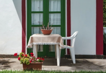 Mnogi drže 1 ukras na stolu, a ne znaju da privlači bijedu i čupa novac iz kuće: Bolje ga sklonite