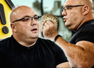 Više je smrtnih slučajeva od uboda ovog insekta nego od ujeda zmija! Vladica upozorava – OVO morate da znate!