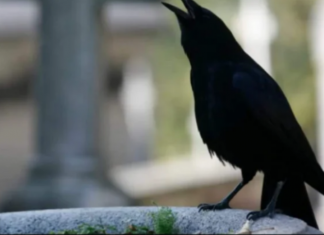 SIGNALI KOJE PREMINULE OSOBE ŠALJU: Poznati medij tvrdi da je to ZNAK da su tu i da nam žele nešto poručiti