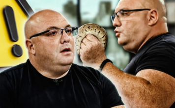 Više je smrtnih slučajeva od uboda ovog insekta nego od ujeda zmija! Vladica upozorava – OVO morate da znate!
