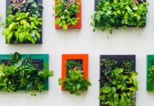 Smjernice za uređenje dvorišta koje će postati vaša omiljena oaza